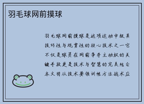羽毛球网前摸球